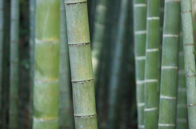 杏彩平台系统升级资讯配图